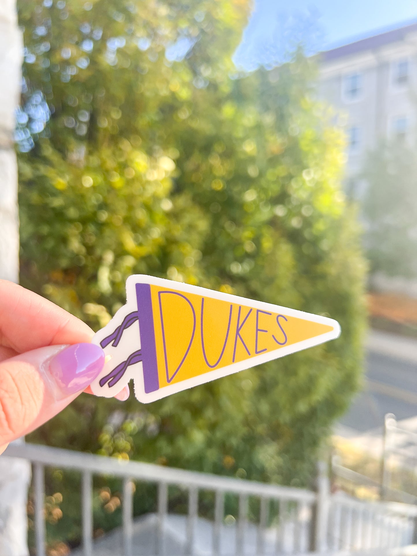 Dukes Flag