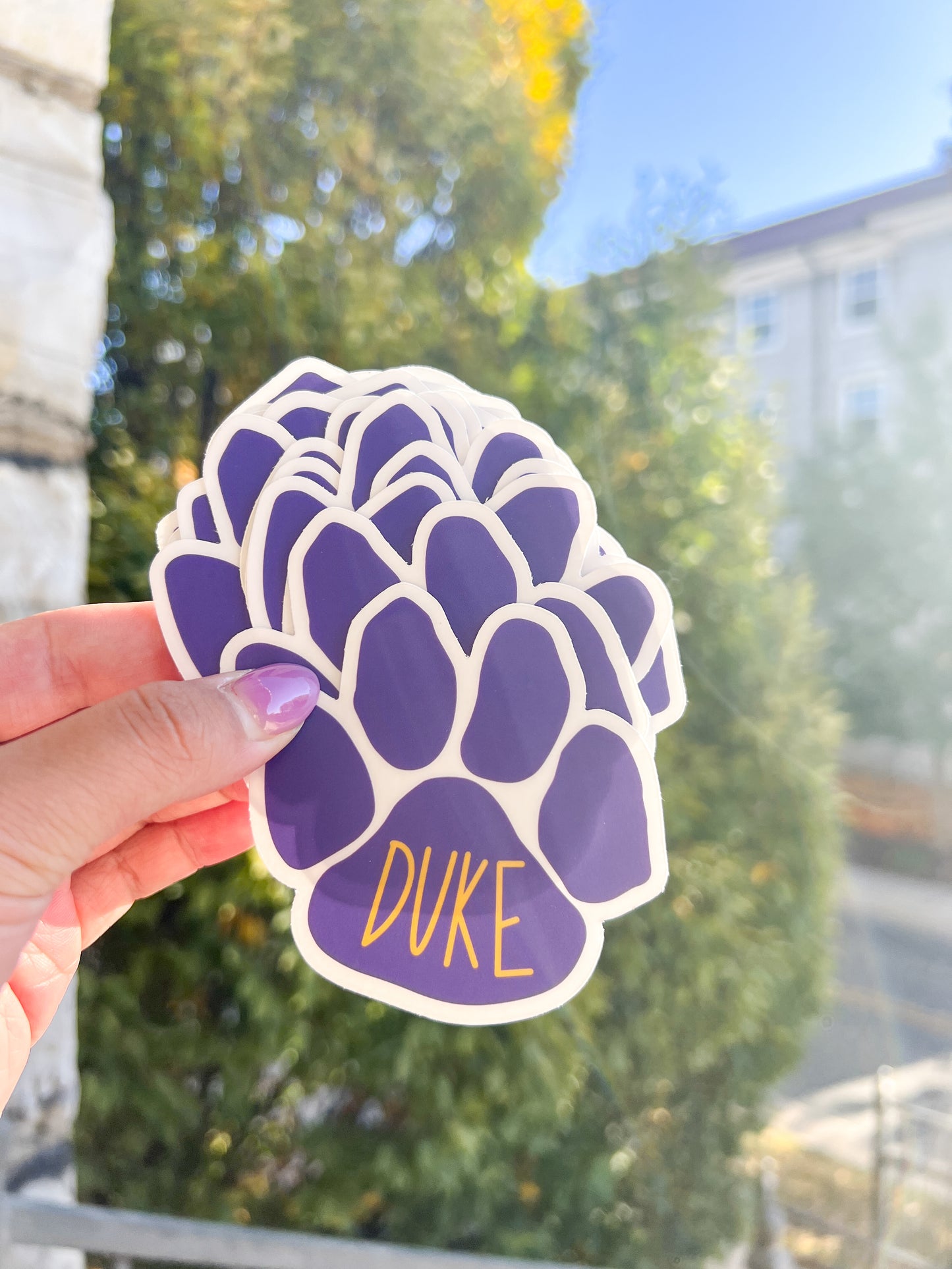 Dukes Paw Print Sticker