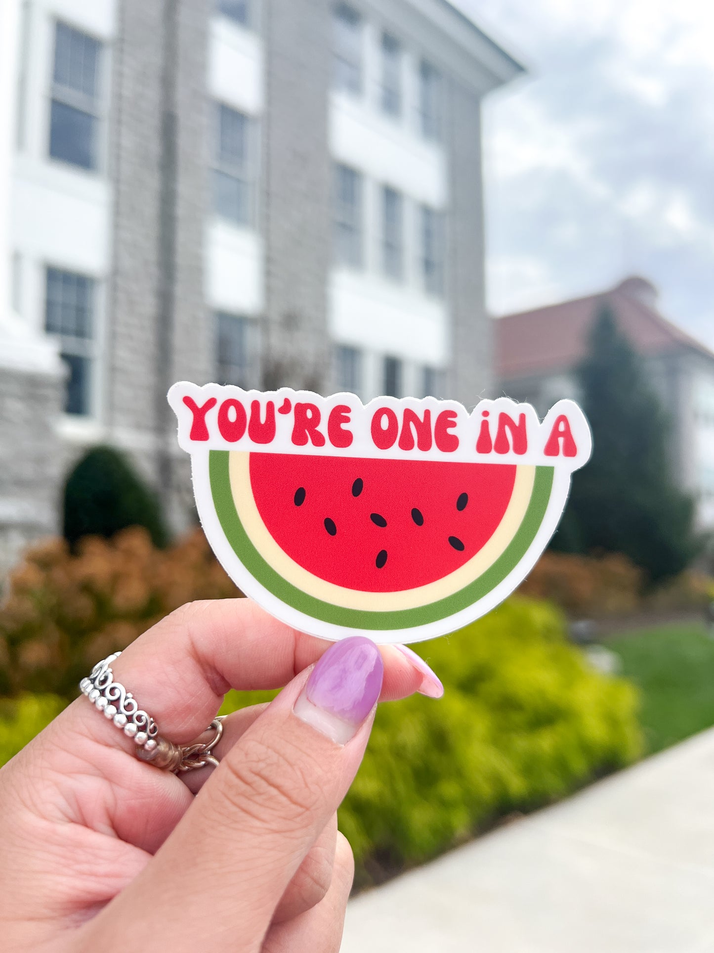 You’re One In A Melon Sticker