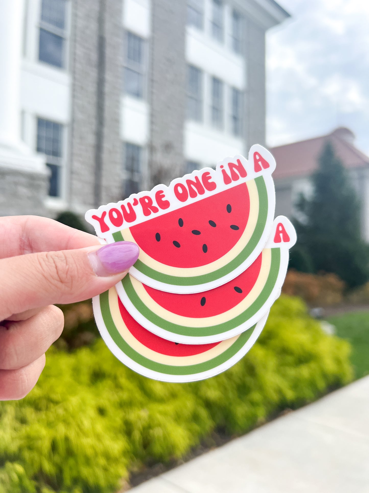 You’re One In A Melon Sticker